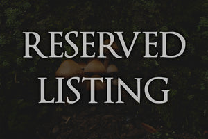 RESERVED for theantiqueacorn