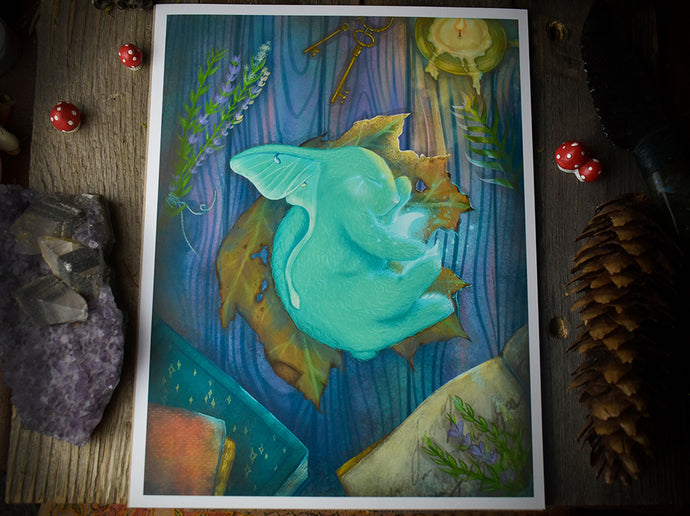 Cozy - 8.5 x 11