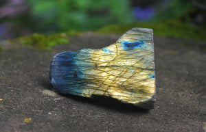 Half-Polished Labradorite